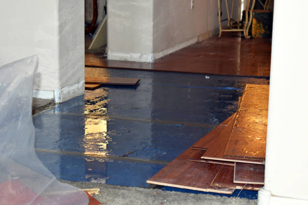 Professional Emergency Water Damage Restoration technician working in Solon, OH